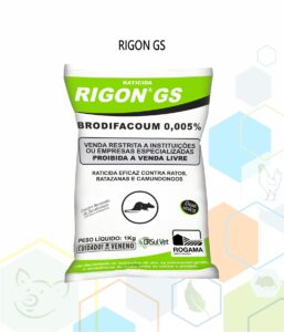RIGON GS